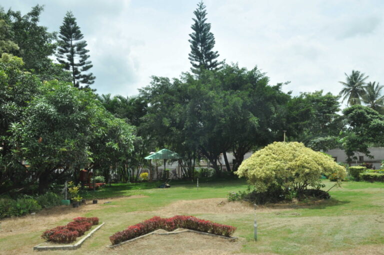 Hnet.com-image-19-1536x1020